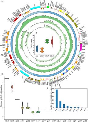 Comparative Chloroplast Genomes of Nicotiana Species (Solanaceae): Insights Into the Genetic Variation, Phylogenetic Relationship, and Polyploid Speciation